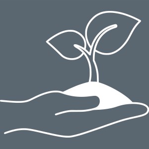 Logo Persönliche Resilienz NEOaware
