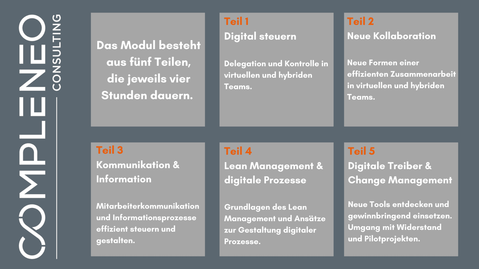 Digital Leadership Module